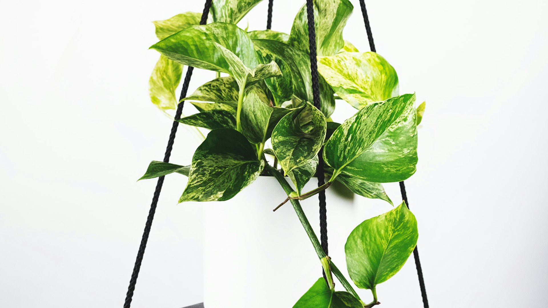 2026世界杯主体育场宏伟夜景与璀璨灯光